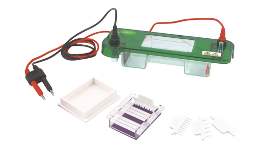 Celda de electroforesis horizontal YR03415