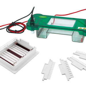 Electroforesis Horizontal YR03416