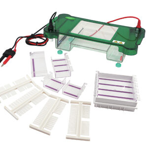 Electroforesis Horizontal YR03417