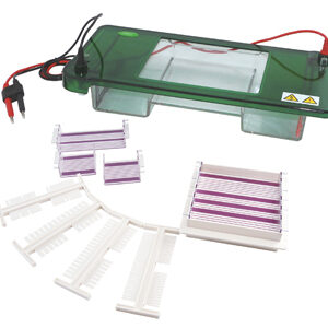 Electroforesis Horizontal YR03418