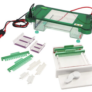 Electroforesis Horizontal YR03419