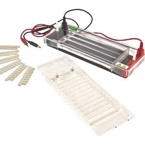 Electroforesis Horizontal YR03422