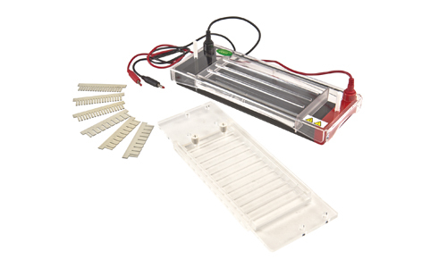 Electroforesis Horizontal YR03422