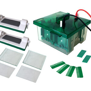 Celda de Electroforesis Vertical Mini-Protean YR03427