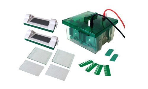 Celda de Electroforesis Vertical Mini-Protean YR03427